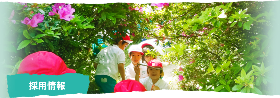 採用情報
